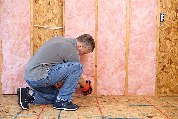 Best Insulation Replacement Services  in West Concord, MA
