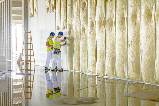 Best Best Insulation Companies  in West Concord, MA